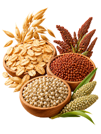 Oats + Ragi + Bajra