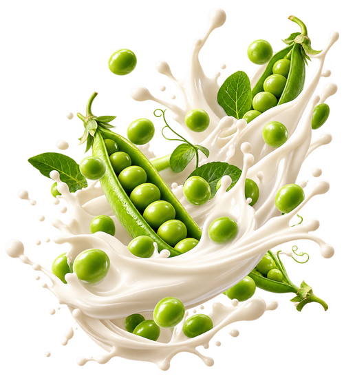 Milk + Pea Protein